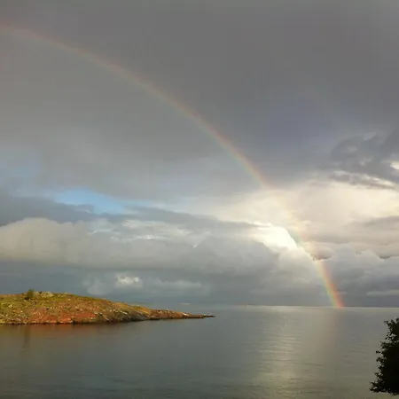 Nestor & Restaurant Back Pocket 4*