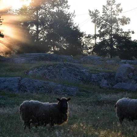 Nestor & Restaurant Back Pocket Отель Korpo