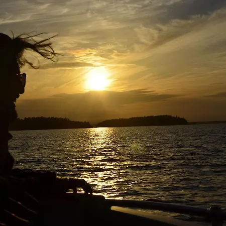 Отель Nestor & Restaurant Back Pocket 4*