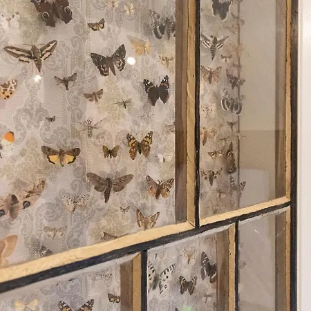 מלון Nestor & Restaurant Back Pocket Korpo