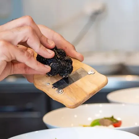 Nestor & Restaurant Back Pocket