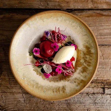 Nestor & Restaurant Back Pocket Korpo