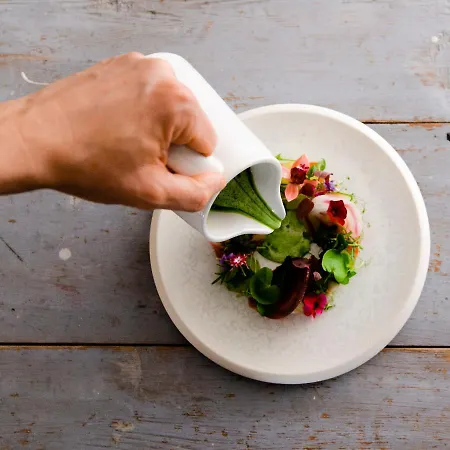 Nestor & Restaurant Back Pocket Korpo