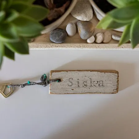 Nestor & Restaurant Back Pocket 4* Korpo