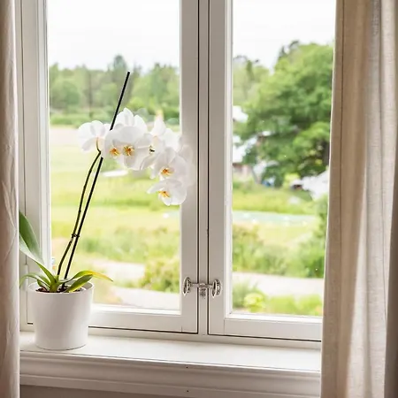 Nestor & Restaurant Back Pocket